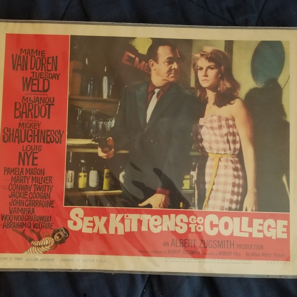 Vintage 1960 Sex Kittens Go To College Movie Poster